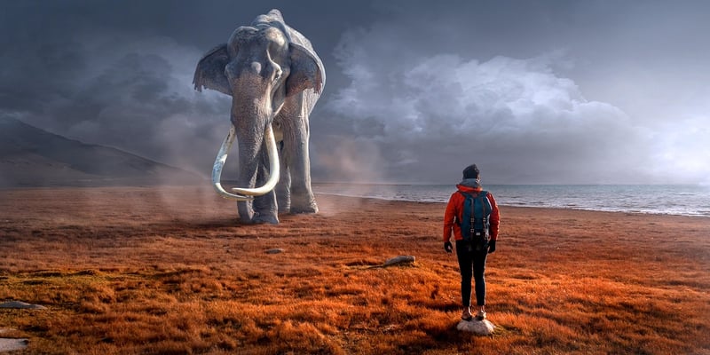 Interplanetary Encounters