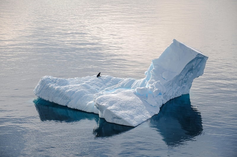 Antarctic Extremophiles